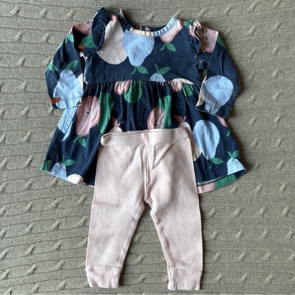 EUC Carter’s Baby Girl Outfit Set, Pink & Blue Pear, 9 Months